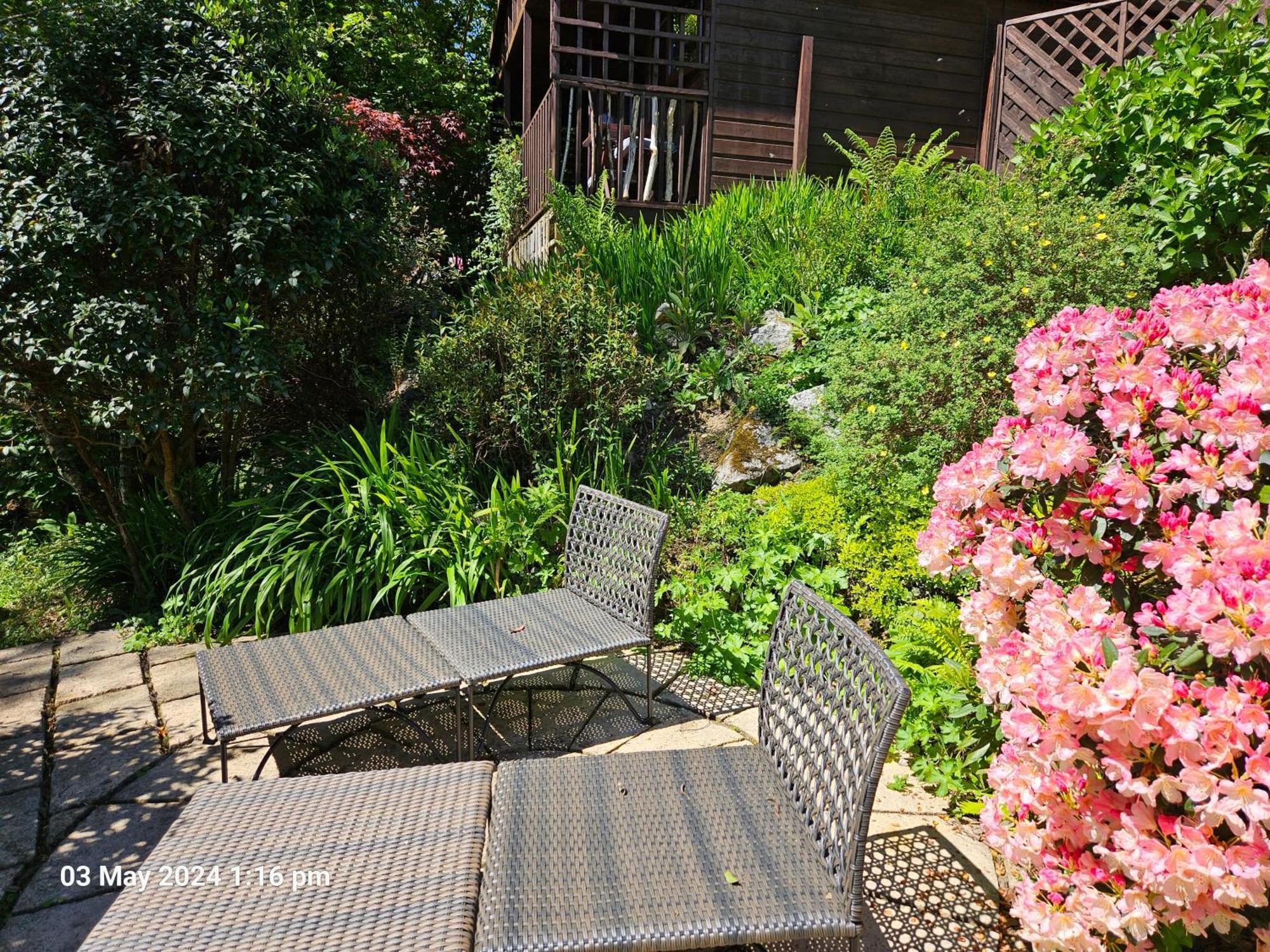 Treetops Lodge, Private Parking & Garden 트루로 외부 사진